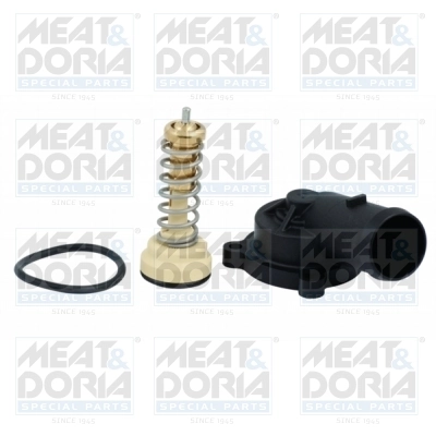 Thermostat, coolant